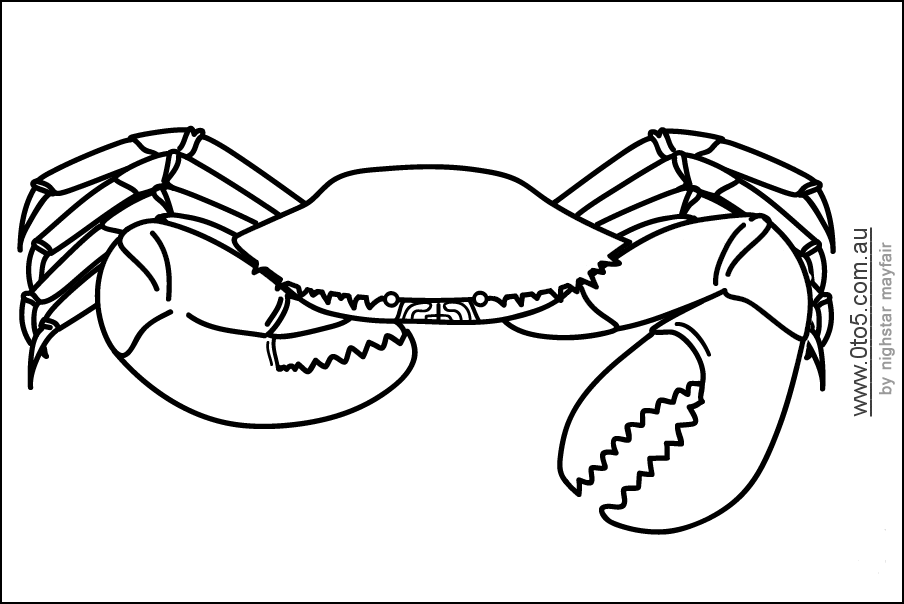 crab template